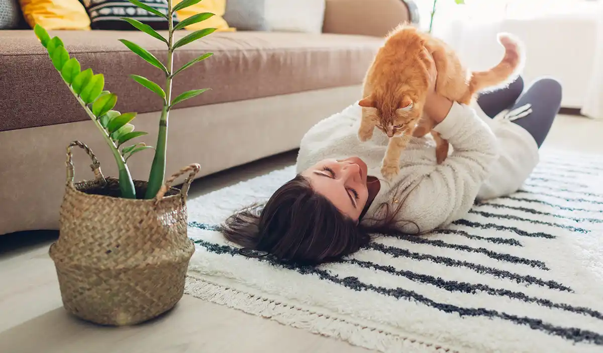 Limpieza de Alfombras Las Condes